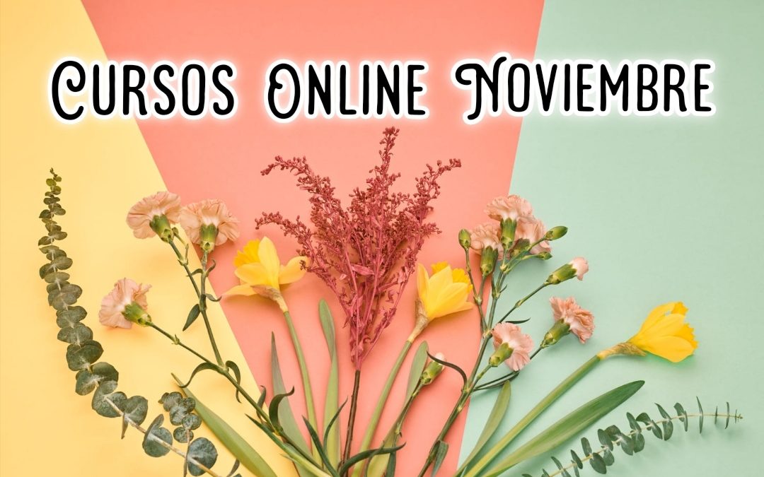 Cursos Online Mes de NOVIEMBRE