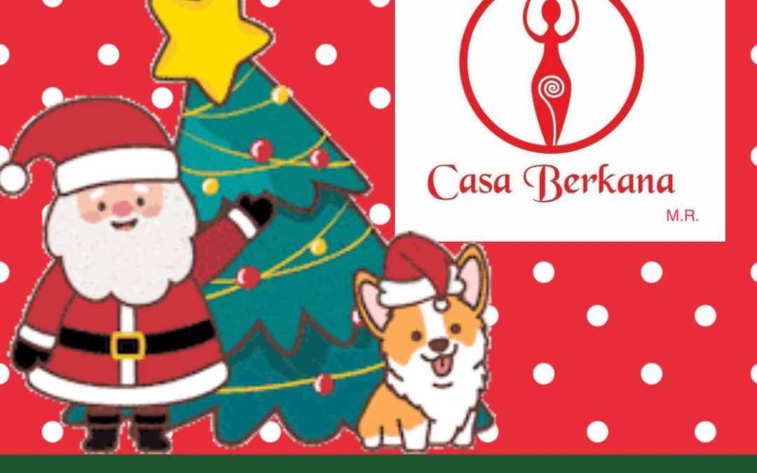 Feliz Navidad les desea Casa Berkana ❤️