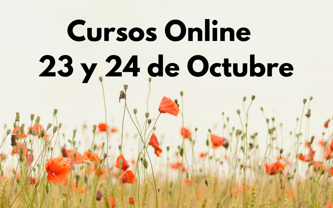 Cursos Online Sábado 23 y Domingo 24 de Octubre