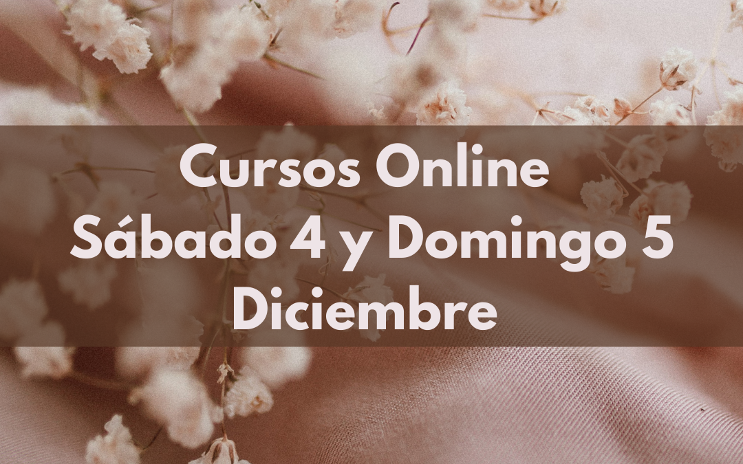 Cursos Online Sábado 04 y Domingo 05 de Diciembre