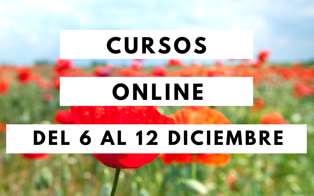 Cursos Online del 6 al 12 de Diciembre