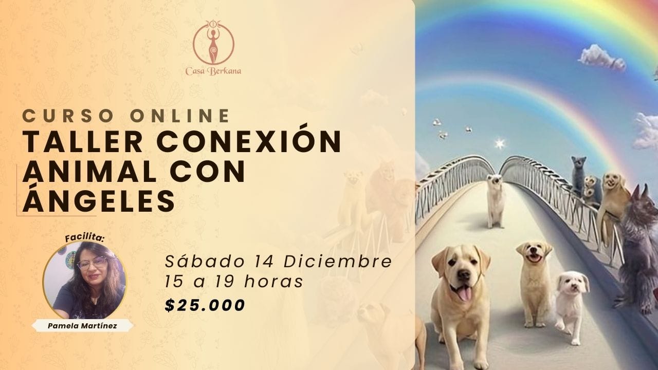 Online Taller Conexión Animal con Ángeles