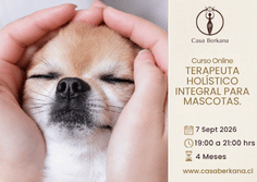 ONLINE FORMACIÓN TERAPEUTA HOLÍSTICO INTEGRAL PARA MASCOTAS